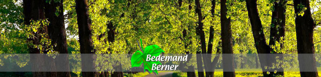 Facebook Scraper Backup Image