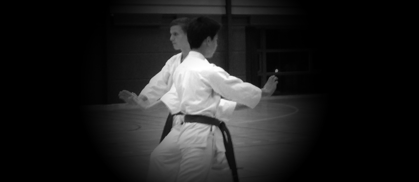 Seiki Karate-do Kai