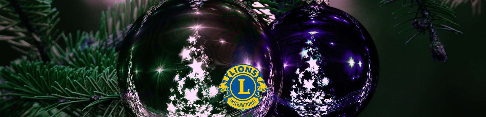 Lions Club sælger juletræer