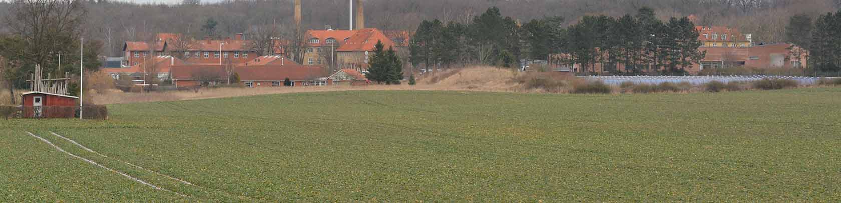 Pilegårdstrekanten i Dianalund