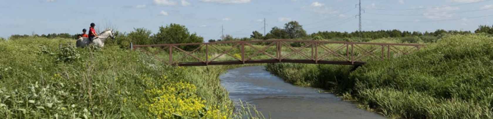 To arrangementer om Naturpark Åmosen
