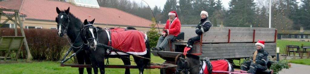 Facebook Scraper Backup Image