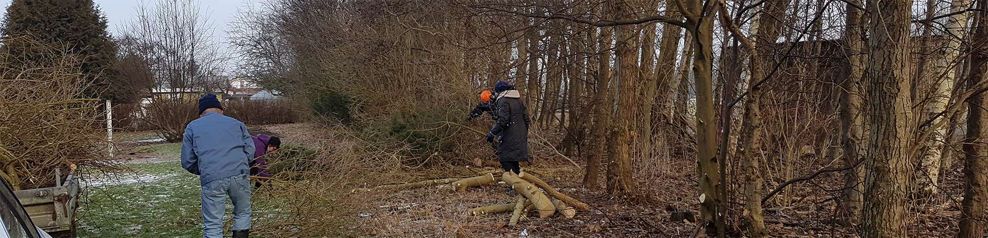 oprydning til forberedelse af "Samm-pladsen" af fitness- og motionsgruppen under Dianalund udviklingsråd
