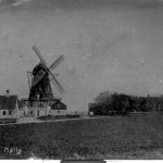 historien-om-buskadset-ved-borgerhuset-i-dianalund-tersloese_moelle