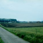 historien-om-buskadset-ved-borgerhuset-i-dianalund-sømosevej