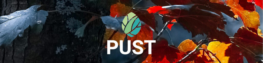 Facebook Scraper Backup Image