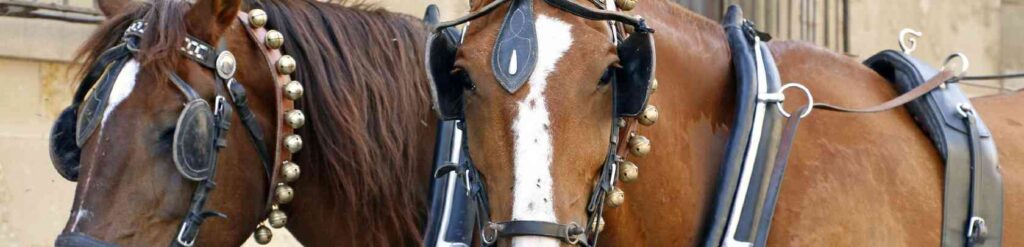 Facebook Scraper Backup Image