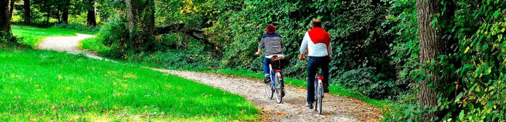 Facebook Scraper Backup Image