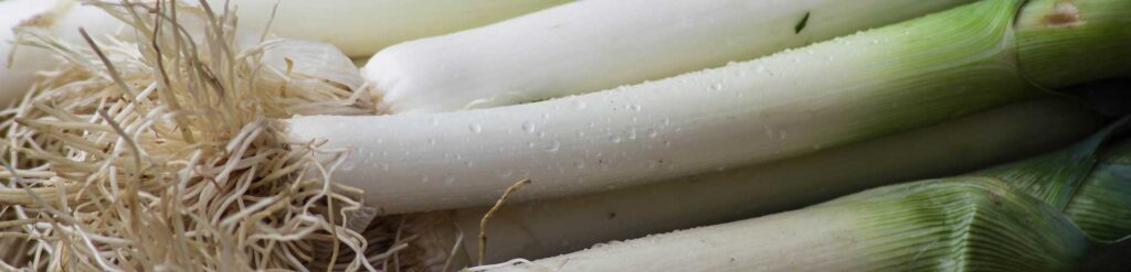 Facebook Scraper Backup Image