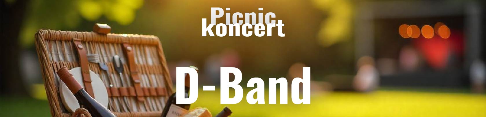 Picnickoncert i Dianalund med D-Band