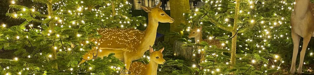 Facebook Scraper Backup Image