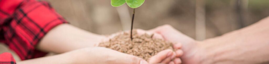 Facebook Scraper Backup Image