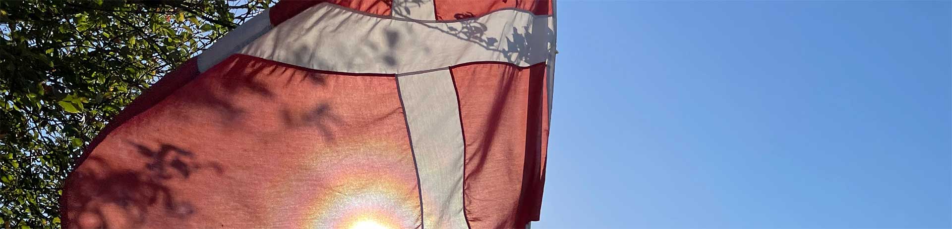 Flagalléen i Dianalund – Et samlingspunkt og en tradition