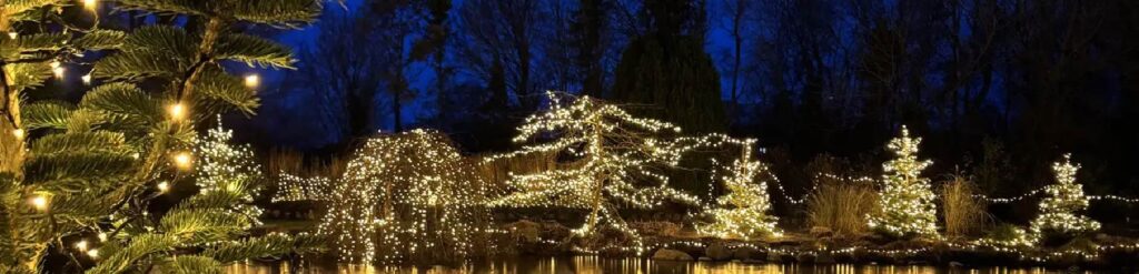 Facebook Scraper Backup Image